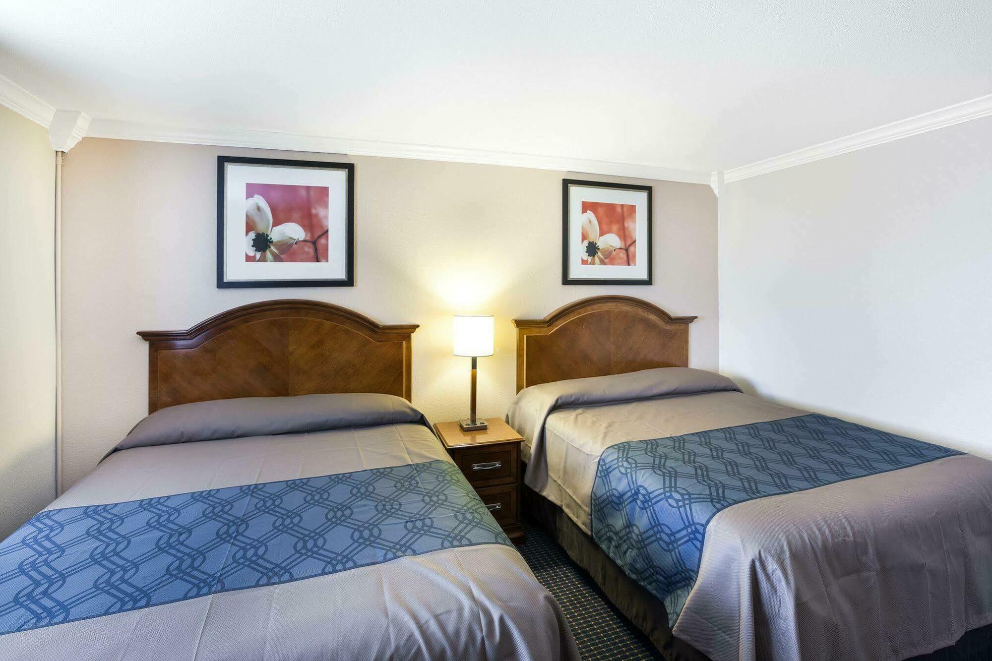 University Inn & Suites Сан-Антонио Экстерьер фото